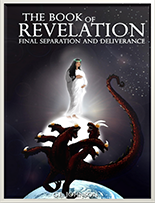 Revelations - Understanding the Visions of John